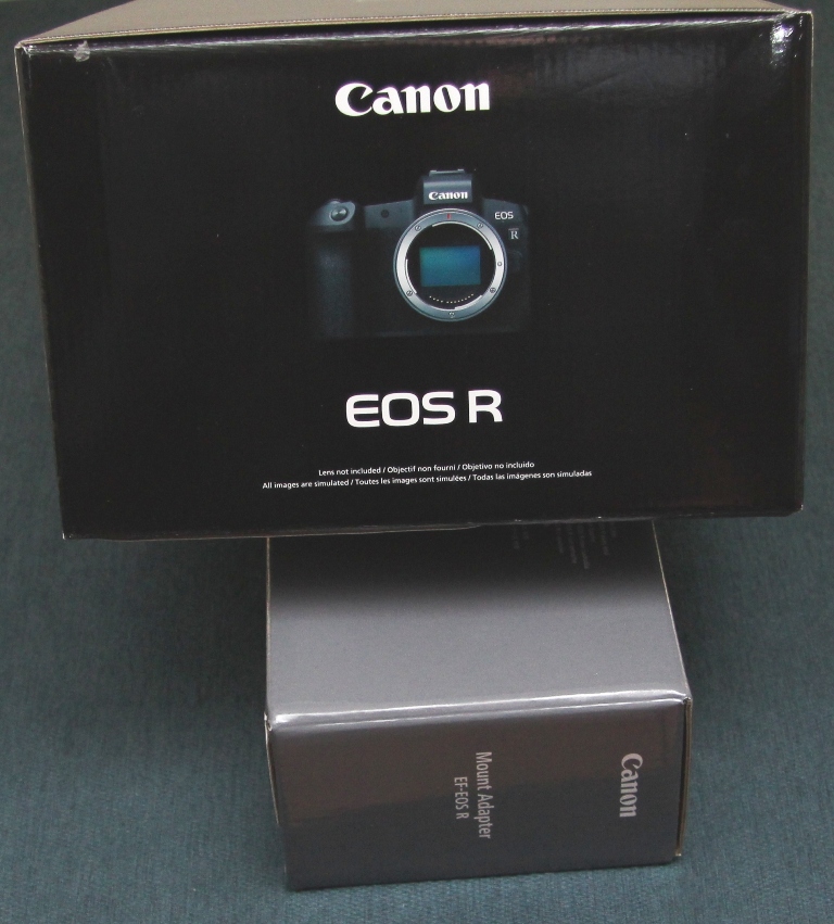 Canon EOS R.JPG